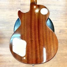 Epiphone Les Paul Standard Plus Top_6