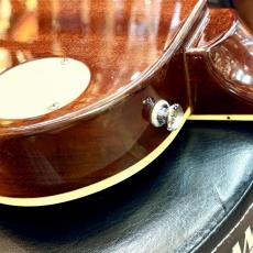 Epiphone Les Paul Standard Plus Top_7