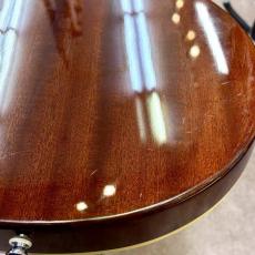 Epiphone Les Paul Standard Plus Top_8