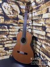 ARIA アリア A-140C【日本総本店2F 在庫品】