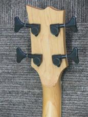 GrassRoots Viper Bass G-VP-46B Vintage White SGベース_6