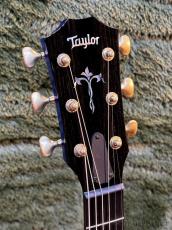 Taylor 【Taylor歳末セール‼】Custom GA AA Quilt Maple/Premium Sitka Spruce　-Carribean Fade- #1205244115_4