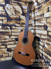 ARIA アリア A-140C-63【日本総本店2F 在庫品】