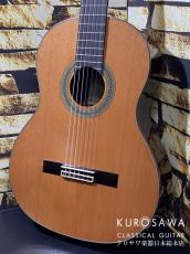 ARIA アリア A-140C-63【日本総本店2F 在庫品】_2