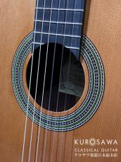 ARIA アリア A-140C-63【日本総本店2F 在庫品】_3