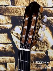 ARIA アリア A-140C-63【日本総本店2F 在庫品】_8