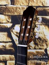 ARIA アリア A-140S【日本総本店2F 在庫品】_8