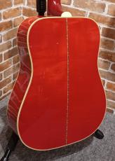 Gibson Dove Original AN #21685066【2025歳末特価セール価格!!】_4