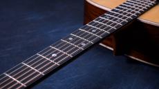 Martin 【プレミアムココボロ】CTM  D-28 Cocobolo  #2970283【梅田店限定・CTMMartinメガ割!】_5