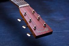 Martin 【プレミアムココボロ】CTM  D-28 Cocobolo  #2970283【梅田店限定・CTMMartinメガ割!】_6