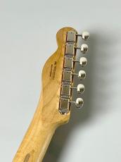 Fender Player II Limited Telecaster Roasted Maple -Oxblood-  #MX25055616【3.53kg】_6