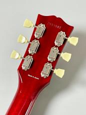 Tokai LS312-KRCM -Cherry Sunburst- #2551982【4.22kg】_6