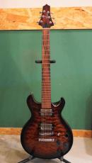 Sago CAOS Custom Order Model_11