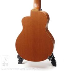 TODA Guitars VT-CW 5 (High & Low G Strings)_3