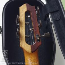 TODA Guitars VT-CW 5 (High & Low G Strings)_6