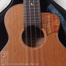 TODA Guitars VT-CW 5 (High & Low G Strings)_10
