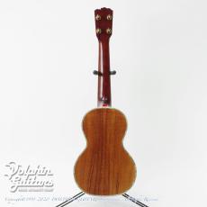 Seagull by M.Shiozaki 5KC-14 (Style5 14F Joint) Concert_4