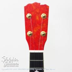 Seagull by M.Shiozaki 5KC-14 (Style5 14F Joint) Concert_5