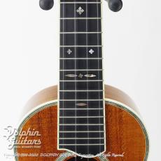 Seagull by M.Shiozaki 5KC-14 (Style5 14F Joint) Concert_7