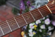 Ovation Super Adamas 1687-8_8