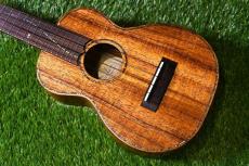 Seilen SLC-282 Cocert