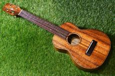 Seilen SLC-282 Cocert_2