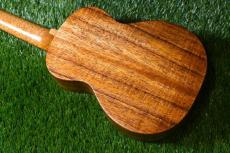 Seilen SLC-282 Cocert_3