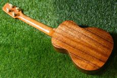 Seilen SLC-282 Cocert_4