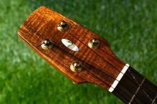 Seilen SLC-282 Cocert_5