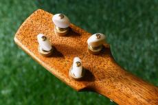 Seilen SLC-282 Cocert_6