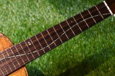 Seilen SLC-282 Cocert_10