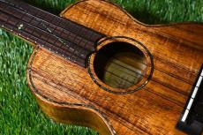 Seilen SLC-282 Cocert_11