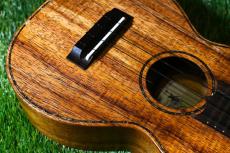 Seilen SLC-282 Cocert_12