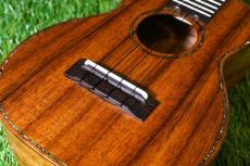 Seilen SLC-282 Cocert_13