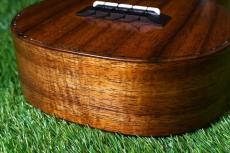 Seilen SLC-282 Cocert_14