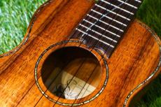 Seilen SLC-282 Cocert_15