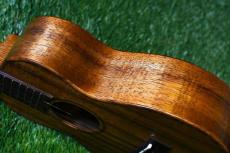 Seilen SLC-282 Cocert_17