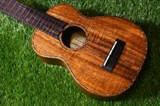 Seilen SLMT-282 MiniTenor