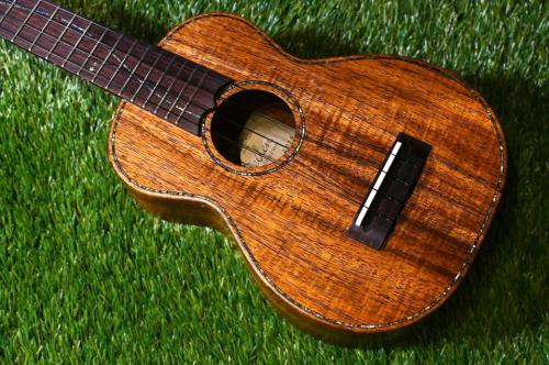 Seilen SLMT-282 MiniTenor