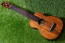 Seilen SLMT-282 MiniTenor_2