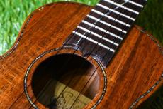 Seilen SLMT-282 MiniTenor_12