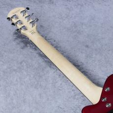 Pignose Limited Edition PGG-JAIL ROLL 【限定モデルが今なら即納可能!!】_8