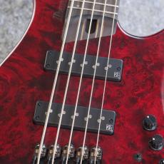 Ibanez EHB1505 - Stained Wine Red Low Gloss -【3.39kg】【#I250214597】_5