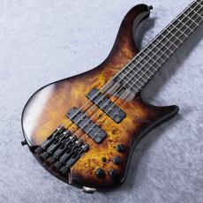 Ibanez EHB1505S - Dragon Eye Burst Low Gloss - 【3.38kg】【#I250609682】