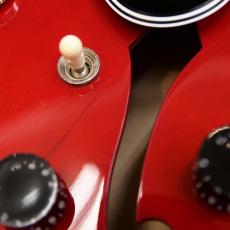 TOM HOLMES THC Semi Hollow Standard Dot_5