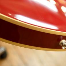 TOM HOLMES THC Semi Hollow Standard Dot_7