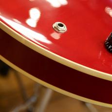 TOM HOLMES THC Semi Hollow Standard Dot_8