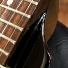 Edwards E-FV-125 DOT_11