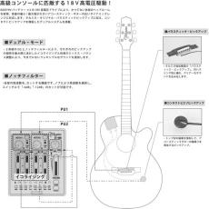 Takamine DMP50S WR エレアコギター セミハードケース付属 【島村楽器 x Takamine コラボモデル】_2