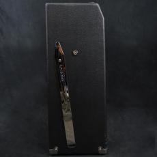 Fender Jack White Panoverb 100V JP_5